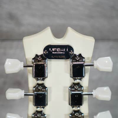 Keith Urban Phoenix Solid Body Electric Guitar image 7