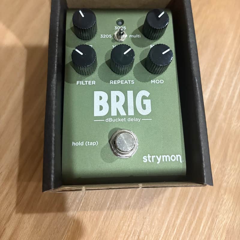 2023 – Present Strymon Brig dBucket Delay Green
