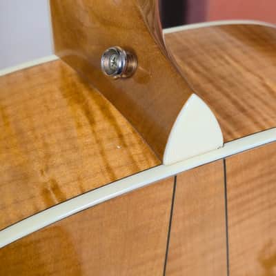 Immagine Taylor Big Leaf Maple 2006 w/case - 5