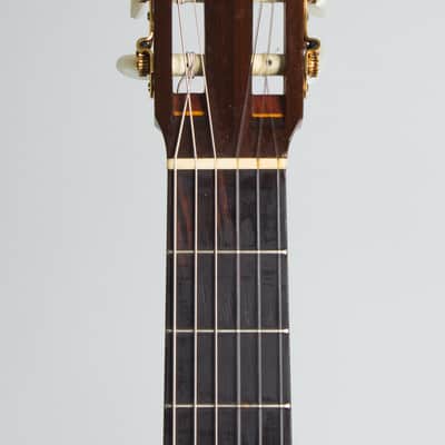 Del Pilar Classical Guitar (1990), hard shell case. image 5
