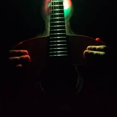 FRETLORD SPECTRUS GUITAR LED FRET BOARD SPOT LIGHT image 17