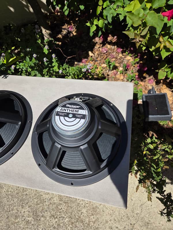 Blackstar speakers 12" 8 ohm 50 watt 2025 - Blk image 1