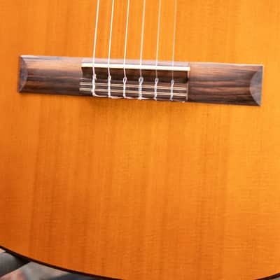 Cordoba C5 Classical Acoustic Guitar with Gig Bag - Used image 15