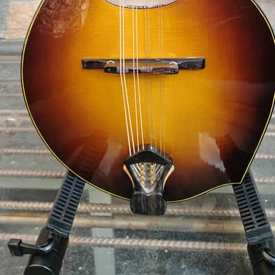 Holst F-4 Hybrid 2023 - Sunburst image 2