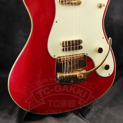 Fender Japan Terry-1 ANNIVERSARY Mod image 5
