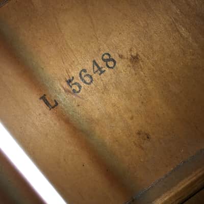 Sears Catalina Classical 1960-70’s (VIDEO) Harmony Kay image 8