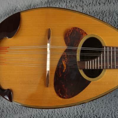Venezia M-30 Hand Crafted Mandolin image 6