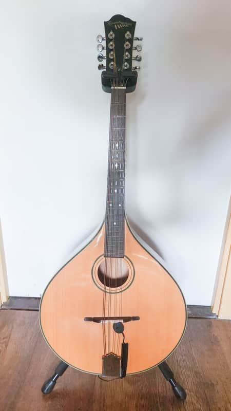 Countryman Octave Mandolin 2000-2010 image 1
