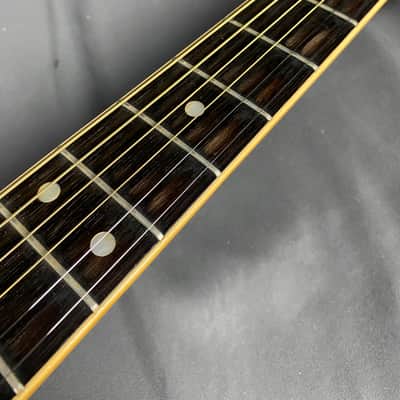 Aria Dreadnought D-80 Ryoji Matsuoka Pickup Rare! MIJ! 1970's | Reverb