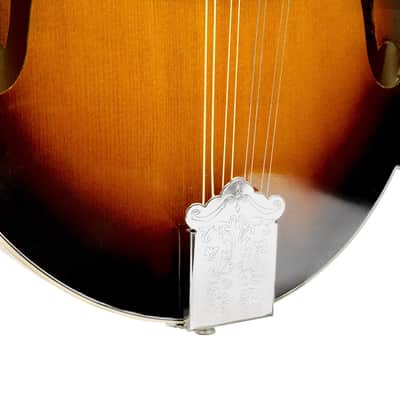 Gold Tone GM-35: F-Style Mandolin with Case image 15