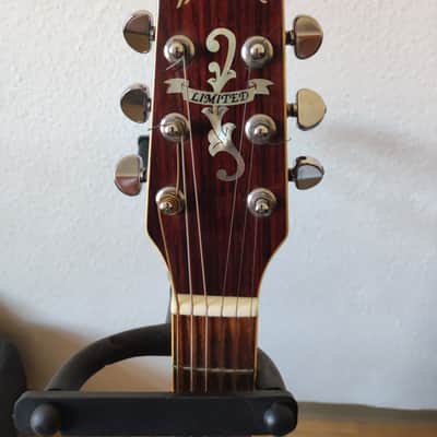 Washburn D95LTD 1995 image 4