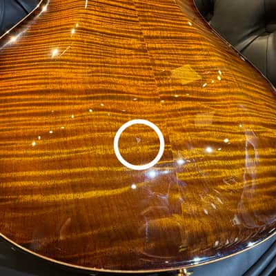 Paul Reed Smith (PRS) 2020 Wood Library Hollowbody II Piezo 10-Top Black Gold Burst Pattern Neck [20 0307130] (05/05) image 15