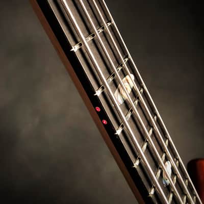 Alembic Stanley Clarke Deluxe - Buckeye Burl image 11