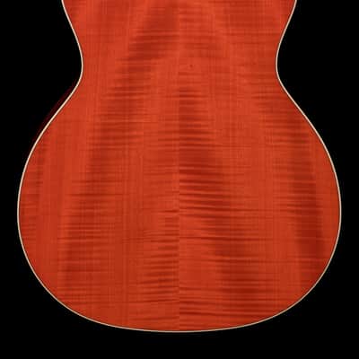 Taylor Doyle Dykes Signature Model #25061 (NAMM 2026) image 2