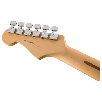 Fender 011-3010-700 American Professional Strat Guitar Bundle image 7
