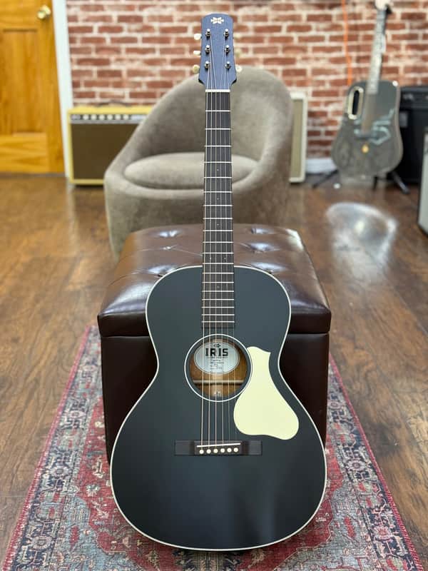 Iris MS-00 12-Fret All Black image 1
