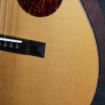 Eastman E10P-TC Thermo-Cure Parlor Guitar Mahogany / Adirondack image 20