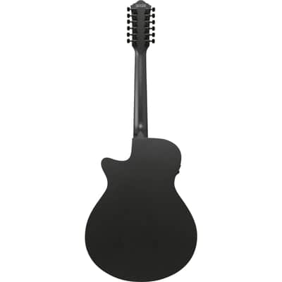 Ibanez AEG1221-BOT 12-String - 12 String Acoustic Guitar image 2