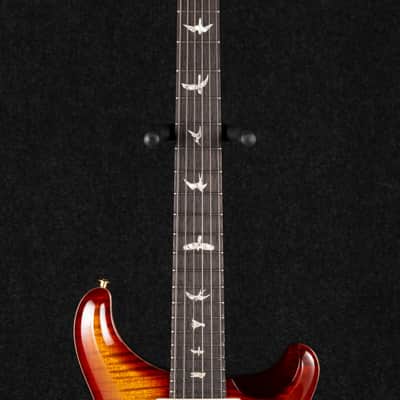 Paul Reed Smith DGT 10-Top Birds - Dark Cherry Burst image 5