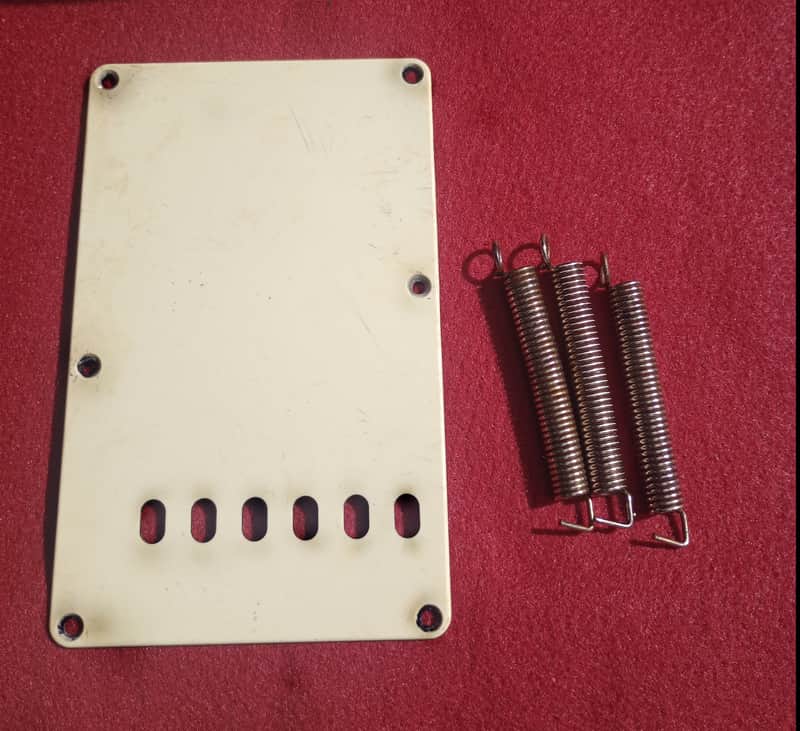 Fender USA Vintage 1996 '62ri Relic Backplate w/ Tremelo Springs (3) image 1