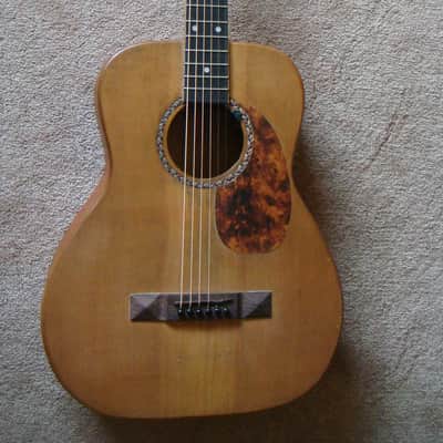 Richtone L-00 size guitar - sinker cedar top, flamed mahogany sides, canarywood back image 1