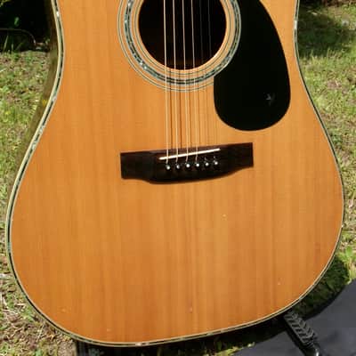 1980 Yairi YW-600 Dreadnought Guitar New Jacaranda Natural+vintage Hard Case image 2