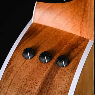 Taylor 214ce-K w/ Torrefied Spruce Top & Hawaiian Koa Back and Sides Acoustic-Electric Guitar 2026 (2201076573) image 8