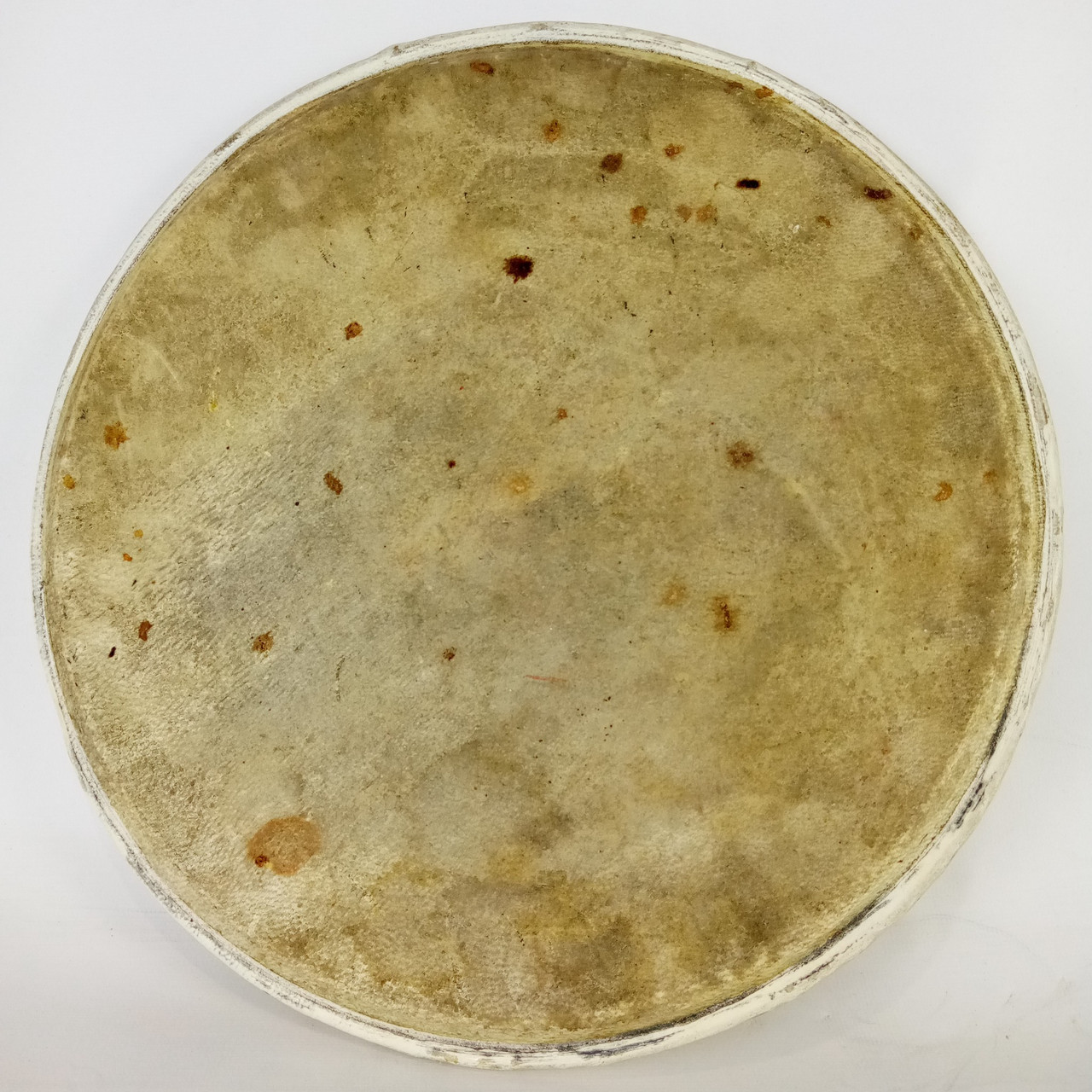 Leedy / Ludwig WFL 11" Calf Skin Tom Drum Head Vintage 30s-40s Rare Size USA — main photograph