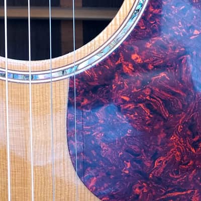 Takamine ENV460SC image 3