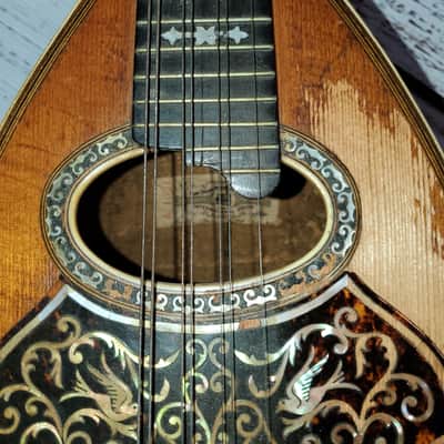 Vintage Favilla Brothers Bowl Back Mandolin circa 1912 w/original case image 3