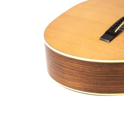 Rockbridge Custom Acoustic Owned by Mike Campbell image 13