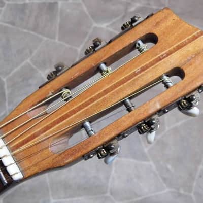 vintage CLARISSA flat top Blues GUITAR Eko guitare chitarra Italia 1972 image 3