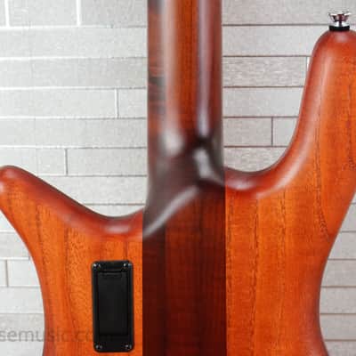 Spector Euro 4 RST - Sienna Stain image 11