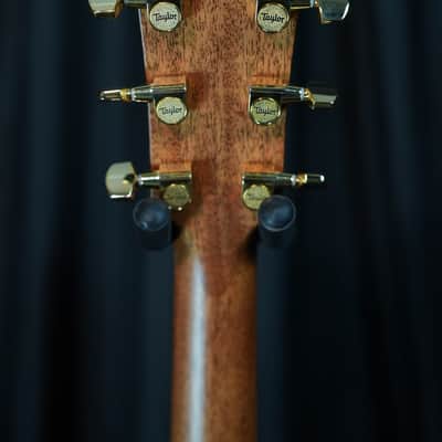 Taylor Legacy 514ce 2025 image 11