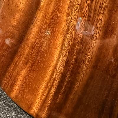 Travis Bean Designs TBD-1000A 2020 image 6