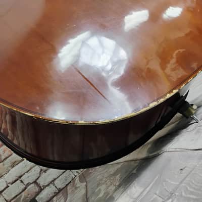 Palatino 3/4 Upright Bass image 13