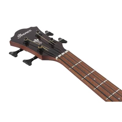 Ibanez AEGB24E-MHS Mahogany Sunburst High Gloss - Acoustic Bass image 6