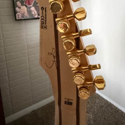 ESP LTD JRV-8 Javier Reyes Signature 2023 - Present - Metallic Gold image 4