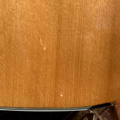Harmony H1203 V-braced conversion image 8