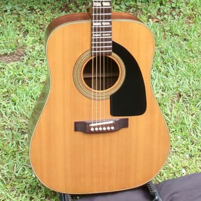 Pearl Dreadnought Acoustic Guitar made by Hayashi Gakki CIRCA 1977 image 2
