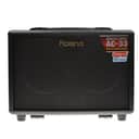 Roland AC-33 Battery-Powered Acoustic Chorus Amp