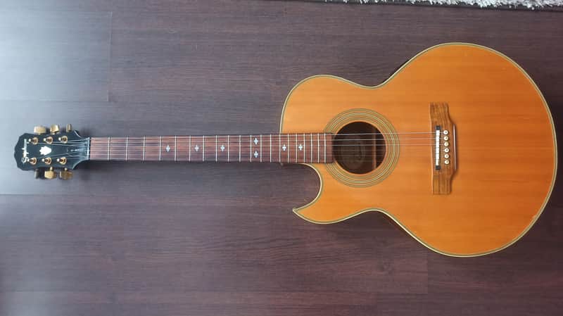 Epiphone PR5E