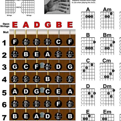 A New Song Music Guitar Fretboard & Chord Chart Instructional Poster 11x17 Beginner Easy Instruction image 6