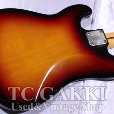 FERNANDES FPB 60 Mod image 6