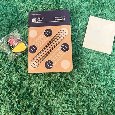 Chase Bliss Audio Thermae Analog Delay and Harmonizer 2018 - 2024 - Blue image 8
