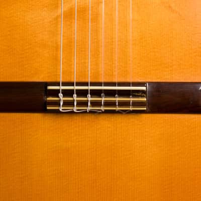 Del Pilar Classical Guitar (1980), black hard shell case. image 19
