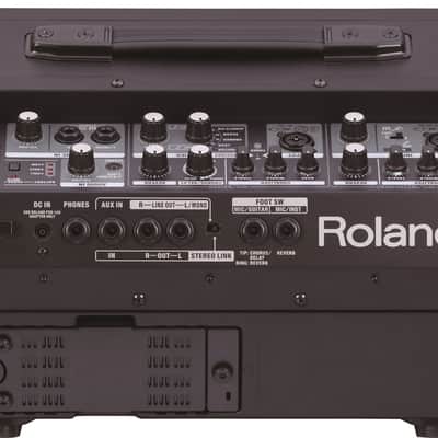 Roland CUBE Street EX Battery-Powered Stereo Amplifier image 5