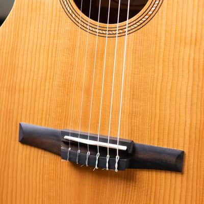 Taylor Academy 12e-N Left-Handed Nylon Grand Concert Acoustic/Electric Guitar with Gig Bag image 11