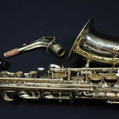 Sky Alto Saxophone Complete & in it's Original Case 3 S image 4