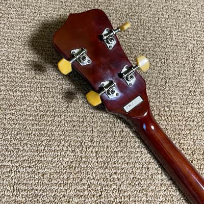 Blueridge Banjo 5-string Remo Drum Head w/ Hard Case image 11